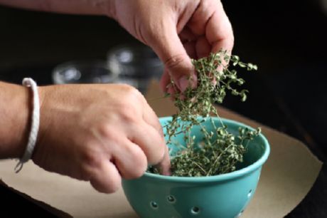 Dried herbs (basil and oregano)