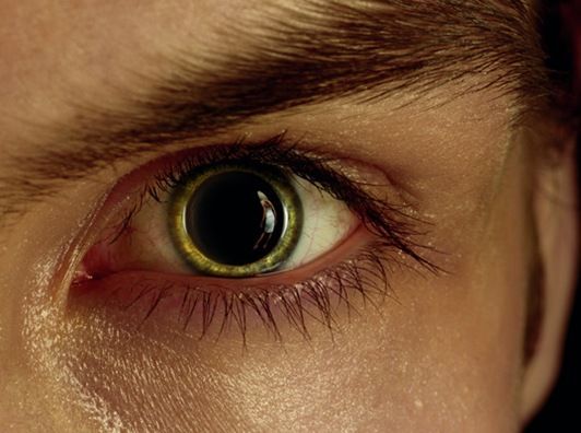 Sexual orietation can be determined by the pupil