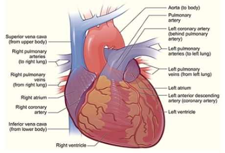 Exhaust gases clean blocked arteries