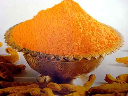 Indian spice turmeric prevents the development of diabetes