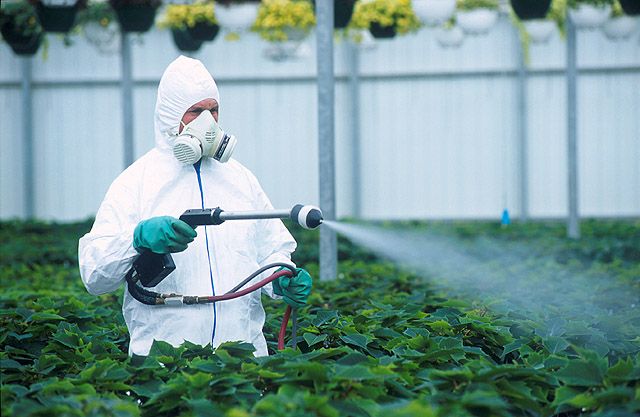 Nanopesticides: a new solution or a new threat? 