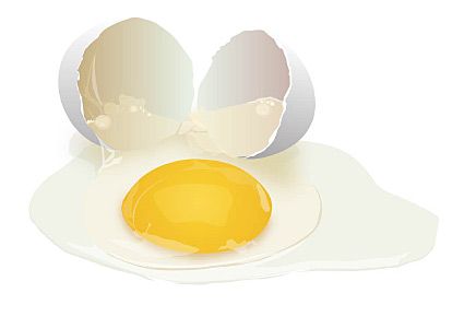 Egg yolk is as harmful to heart health as smoking
