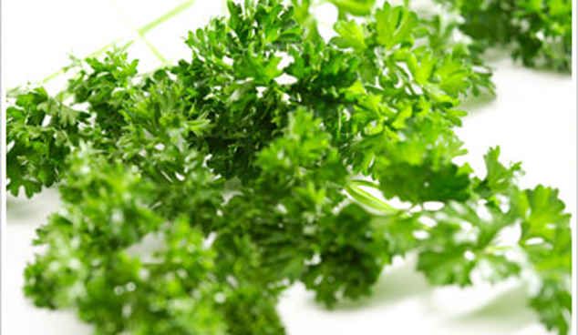 Parsley