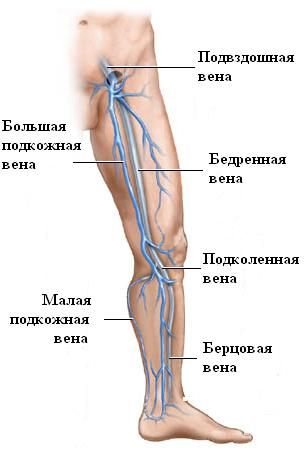 Foot circulation