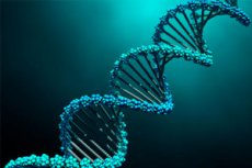 Futation Meaning RET gene mutation: meaning, diagnosis, treatment, and prognosis ...