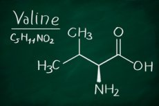 Valine: Role in the Body, Sources, Deficiency, Supplements, and Risks ...