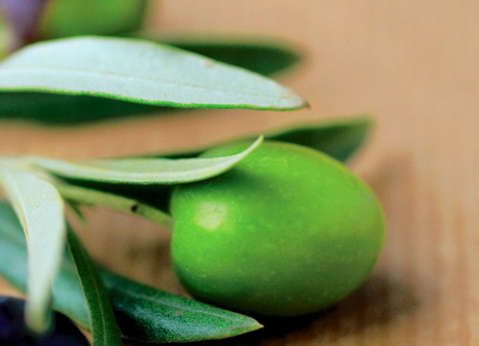 Extract of olive leaves