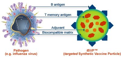 A complex synthetic vaccine based on DNA molecules