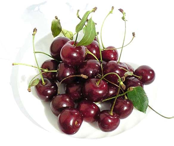 Acidic cherry contains more anti-inflammatory substances than any other product