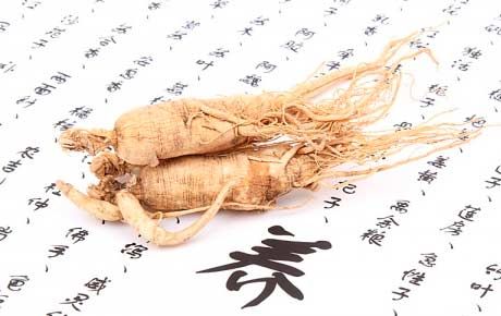 Ginseng during pregnancy